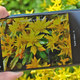 trying to snap pics from just 1.5 inches away is actually harder than it seems, especially when you can’t rely on autofocus.
